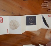 Photos from Zen and Art Retreat held by Janet Selby and Diana Levy on April 24-29, 2008.