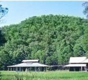 Zazen in a profound valley beneath high cliffs...